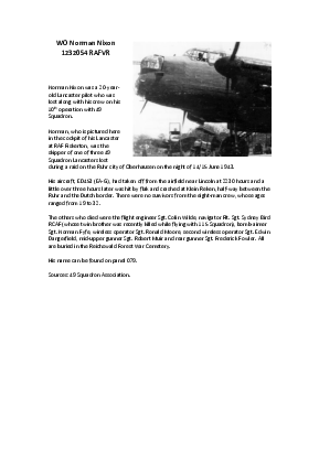 A preview of a PDF biography for Nixon, Norman